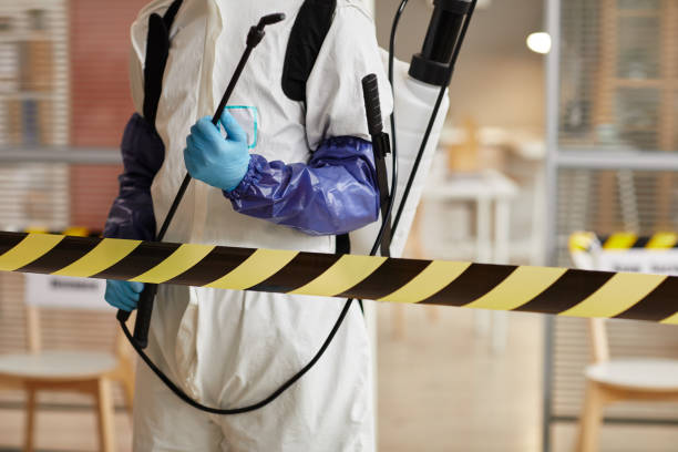 Professional Sewage Cleanup technician working in West Baldwin, ME