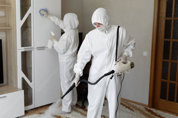 Trusted Sewage Cleanup service in West Baldwin, ME - Four Month Blood Cleanse